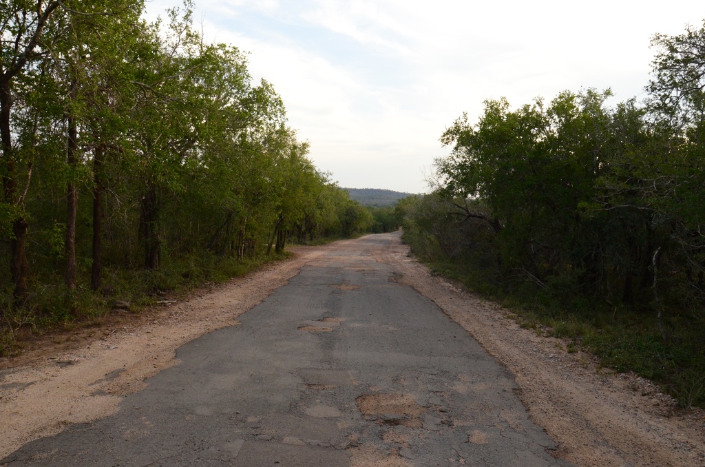 2015-05 South Africa/iMfolozi/DSC_0105.JPG